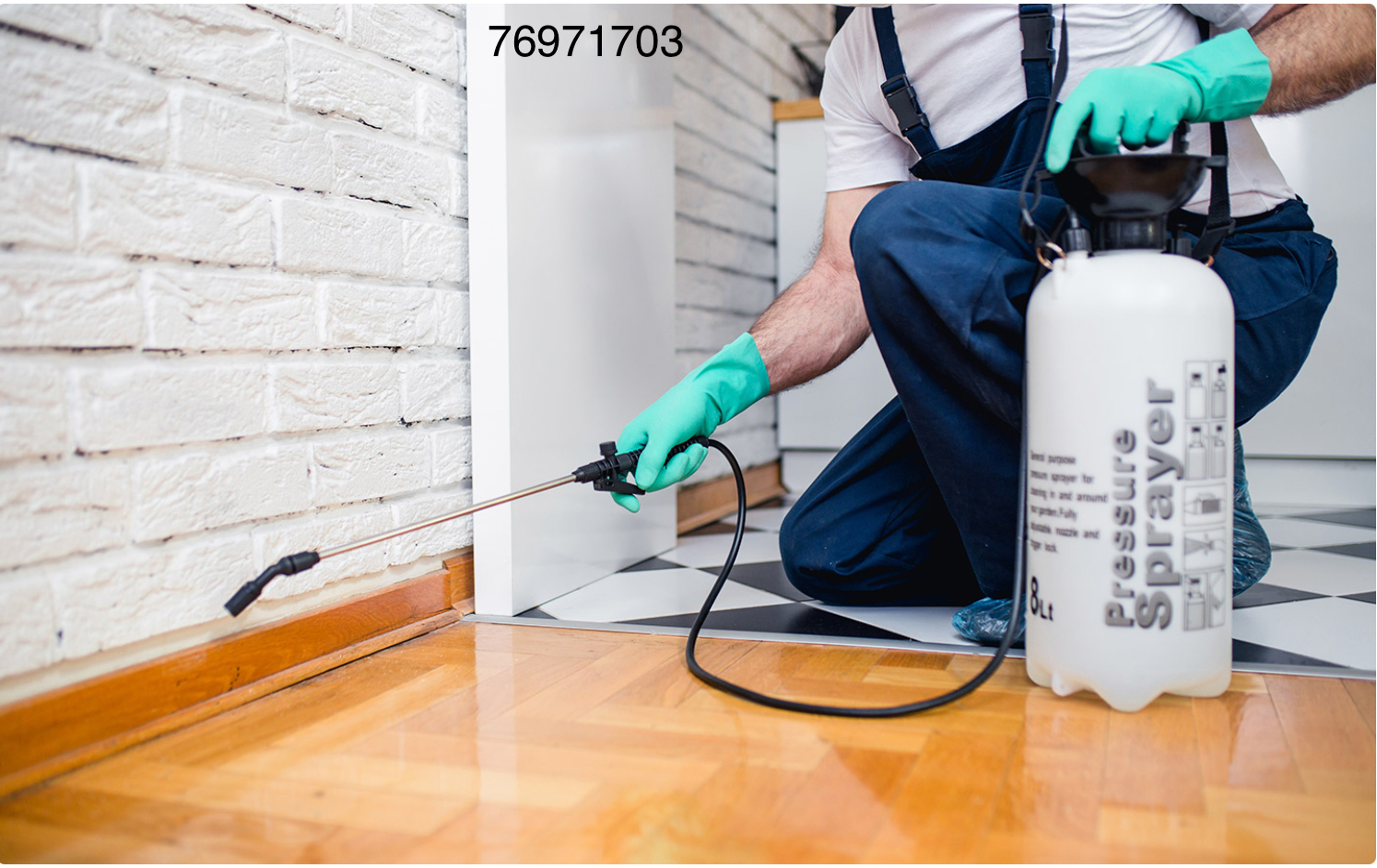 شركة مكافحة الحشرات في الخوض