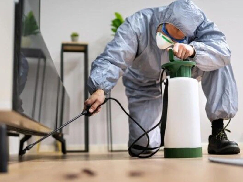 مكافحة الحشرات ومعالجة الرمة
